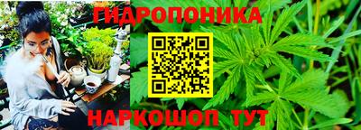 крисы Заволжье