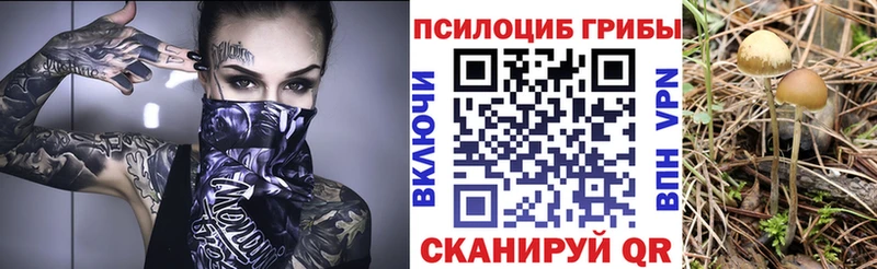 Галлюциногенные грибы Cubensis  hydra маркетплейс  Уварово 