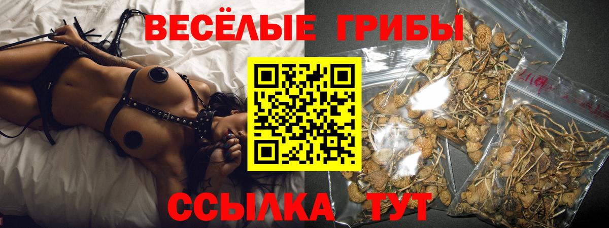 Галлюциногенные грибы Psilocybine cubensis  Вход с VPN  Уварово 